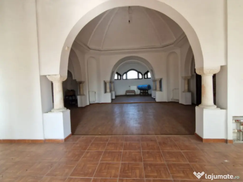 Domeniu boieresc cu conac și lac privat – Pleșoiu, Olt 