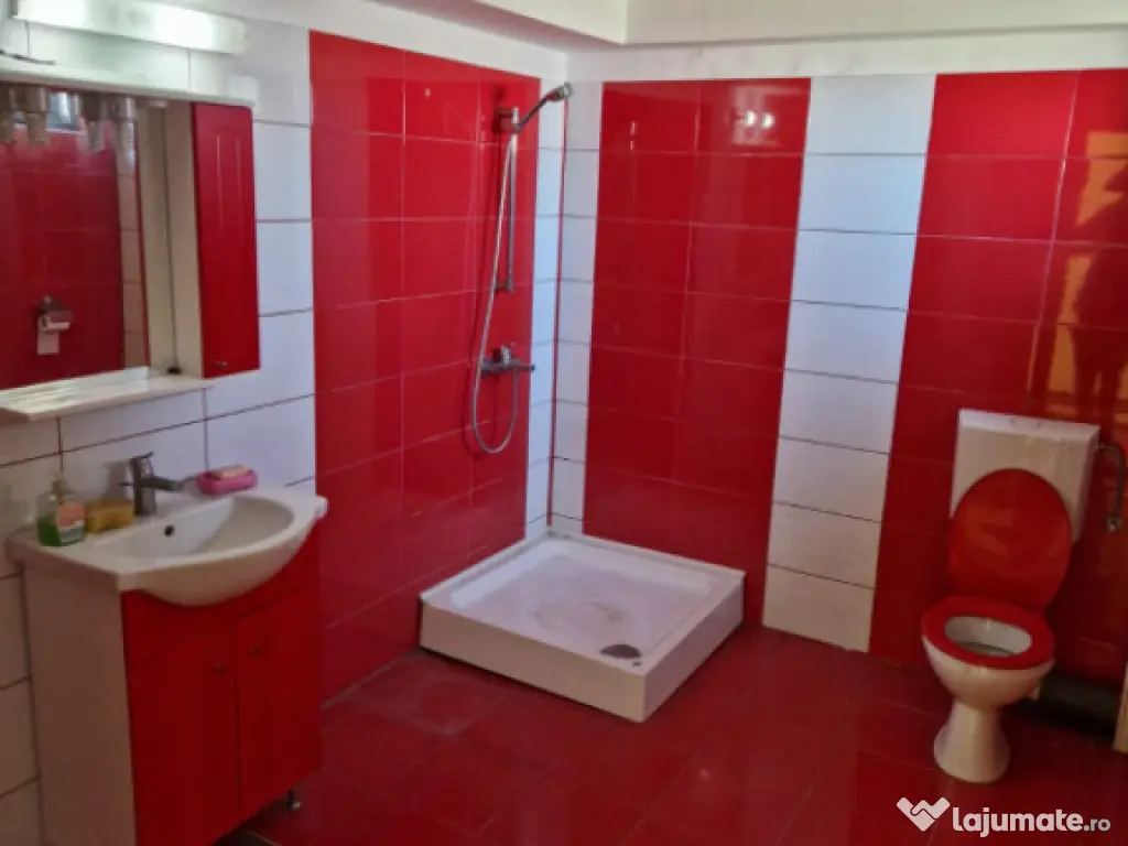 Ocazie unica !!! CONAC boieresc superb in inima Oltenie 980 