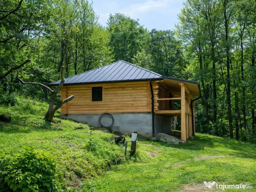 3.000mp de incantare montana cu cabana din lemn masiv, Zarne 