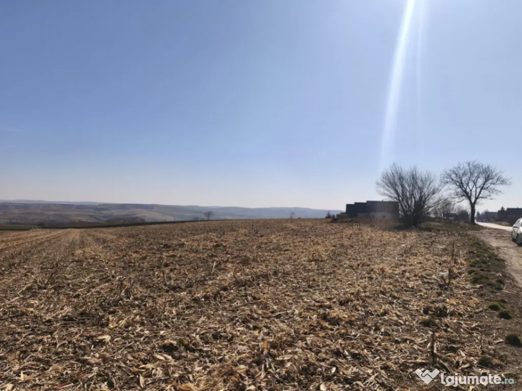 Teren 6500mp, 40ml deschidere la E85, Granicesti, Suceava