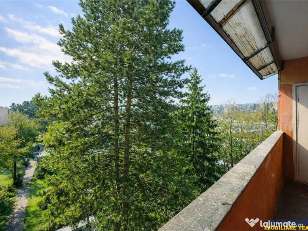 Apartament cu potential,areal verde, panorama,terasa,zona A, 