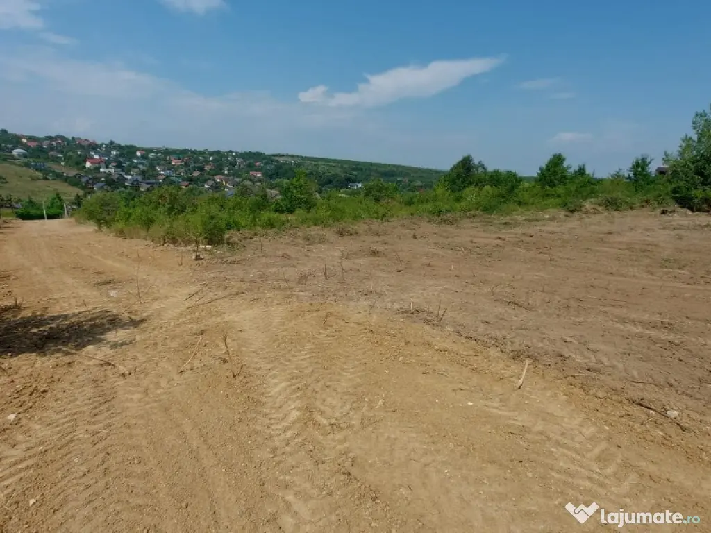 Teren intravilan , Bucium Barnova 