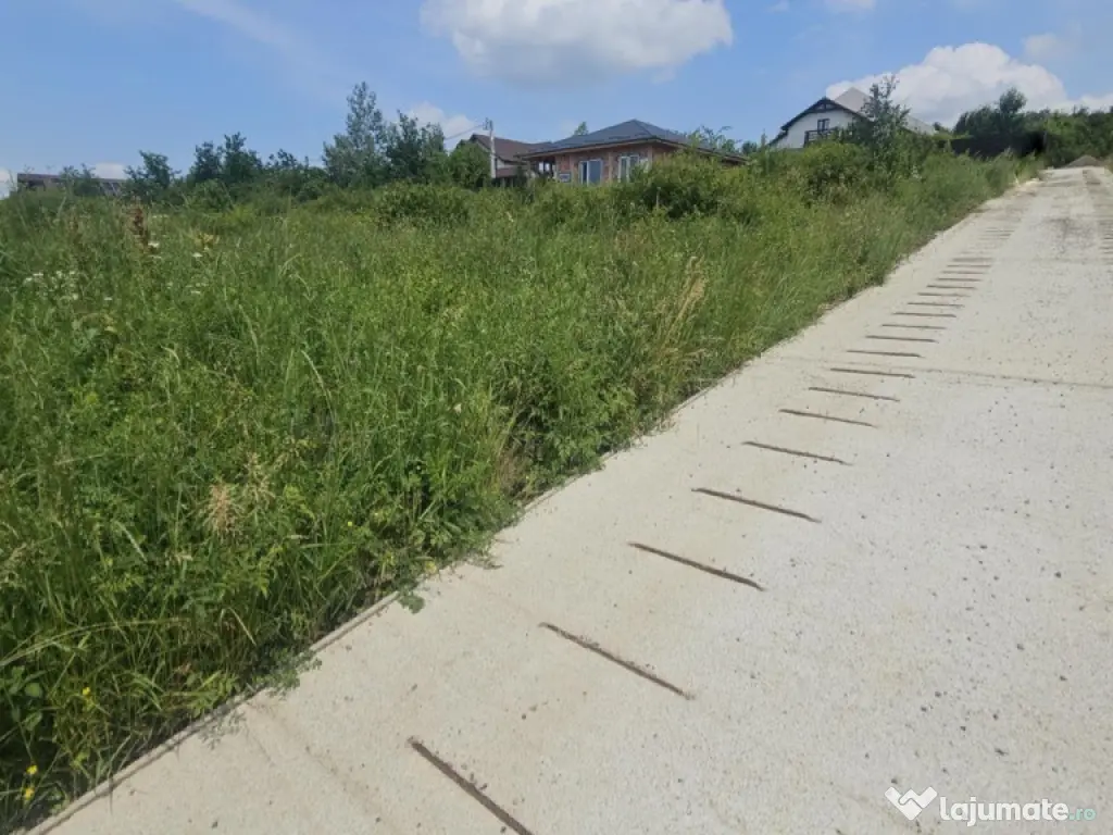 Teren intravilan , Bucium Barnova 