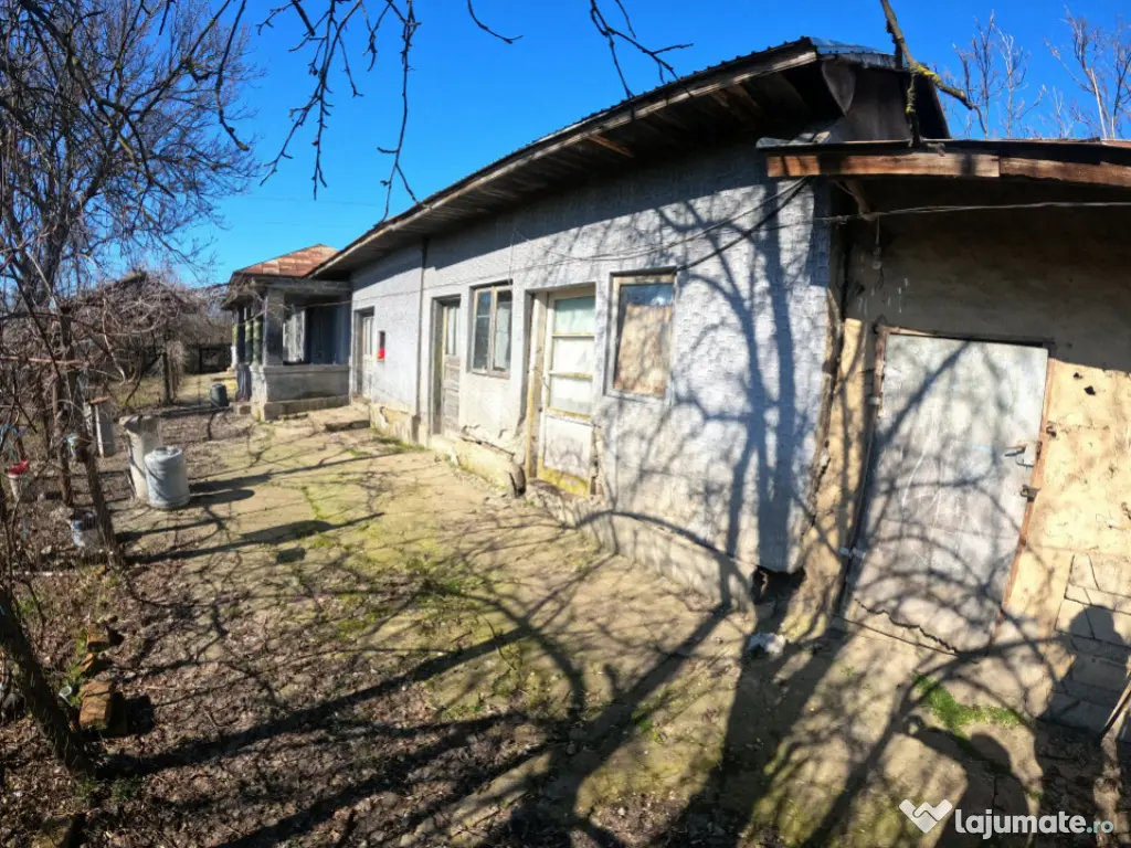 Teren 1000 mp sat BALANU JUD GIURGIU 