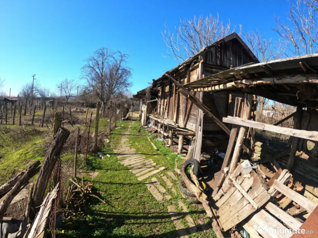 Teren 1000 mp sat BALANU JUD GIURGIU 