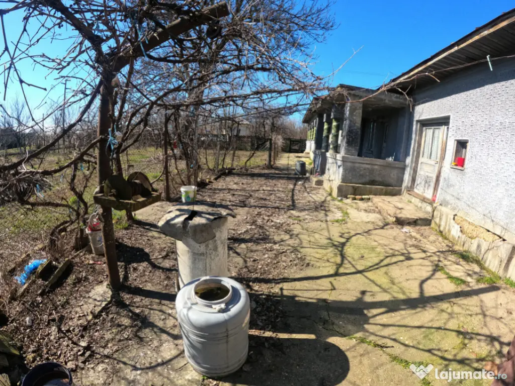 Teren 1000 mp sat BALANU JUD GIURGIU 