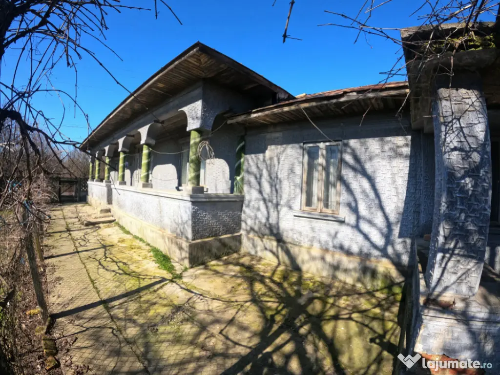 Teren 1000 mp sat BALANU JUD GIURGIU 