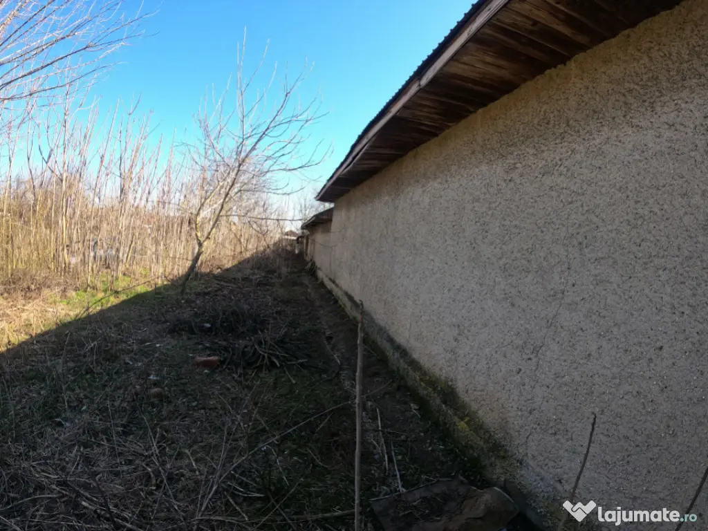 Teren 1000 mp sat BALANU JUD GIURGIU 