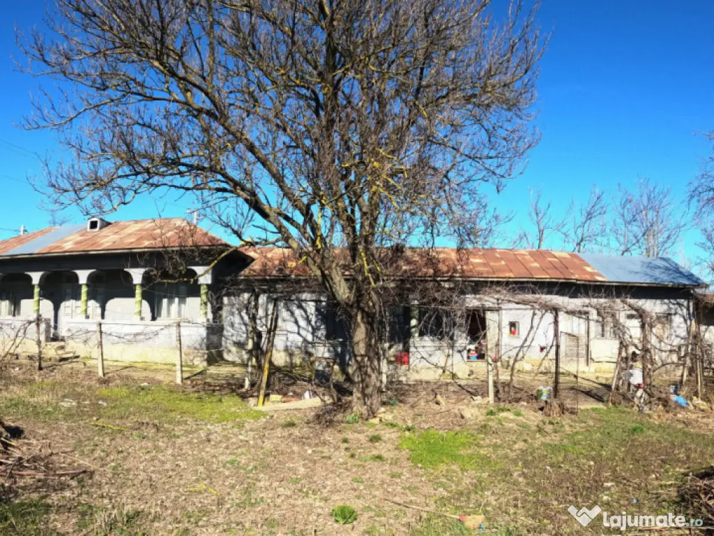 Teren 1000 mp sat BALANU JUD GIURGIU 