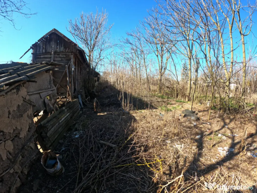 Teren 1000 mp sat BALANU JUD GIURGIU 