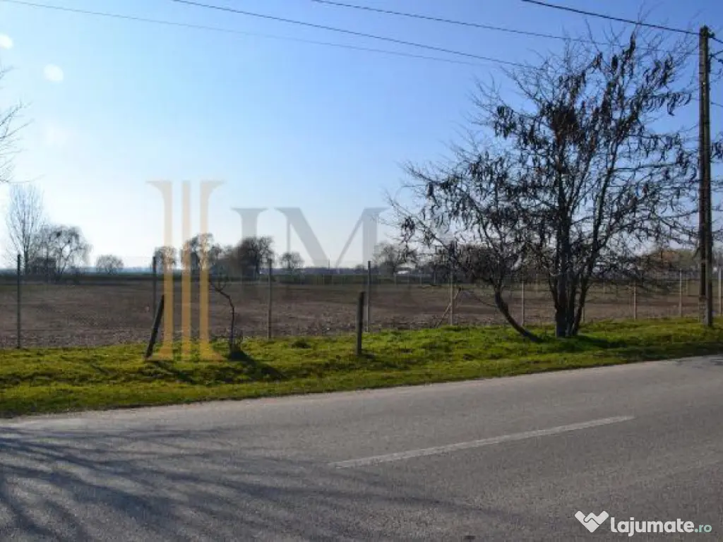 Teren intravilan, 5600 mp in Mircea Voda - Dambovita. 