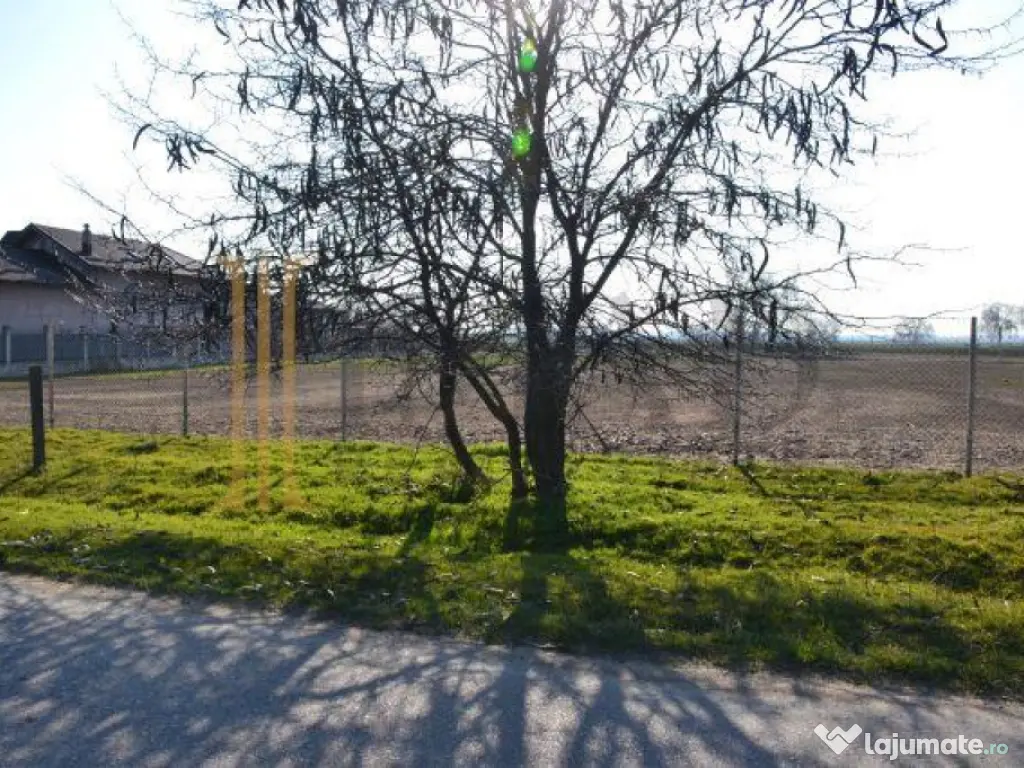 Teren intravilan, 5600 mp in Mircea Voda - Dambovita. 