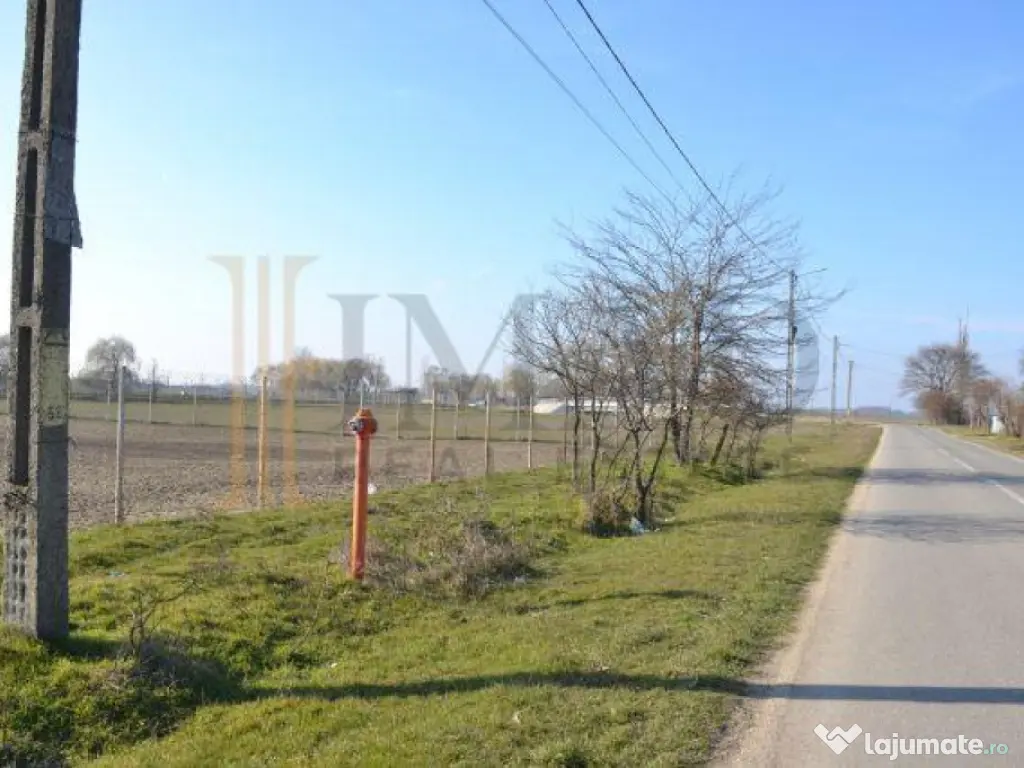 Teren intravilan, 5600 mp in Mircea Voda - Dambovita. 