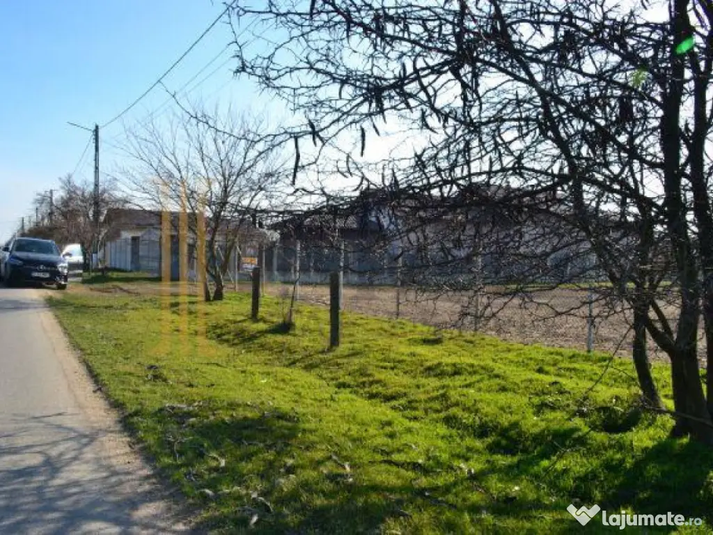 Teren intravilan, 5600 mp in Mircea Voda - Dambovita. 