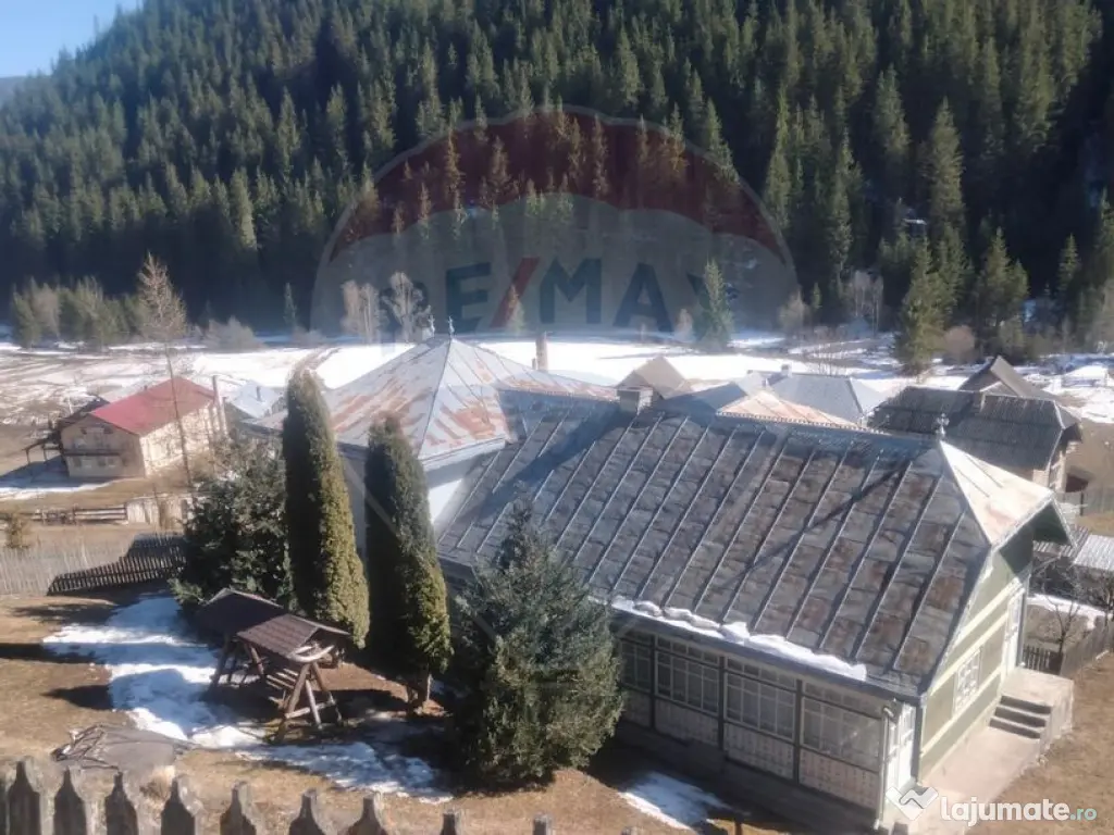 Case cu 7 camere de vânzare în comuna Panaci, sat Drăg...