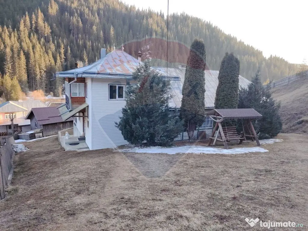 Case cu 7 camere de vânzare în comuna Panaci, sat Drăg...