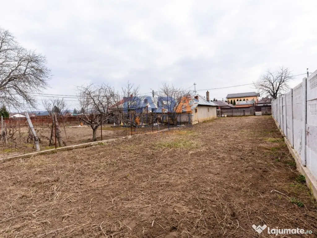 Grădină 300 mp - în oraș 