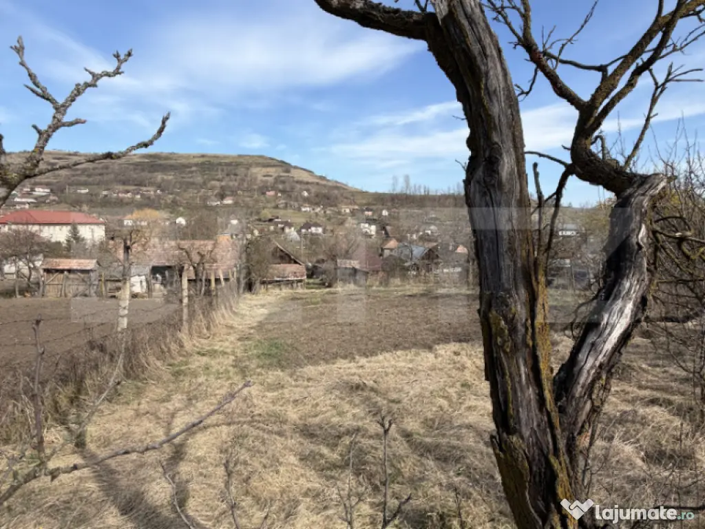 Casa si teren in Ocnita