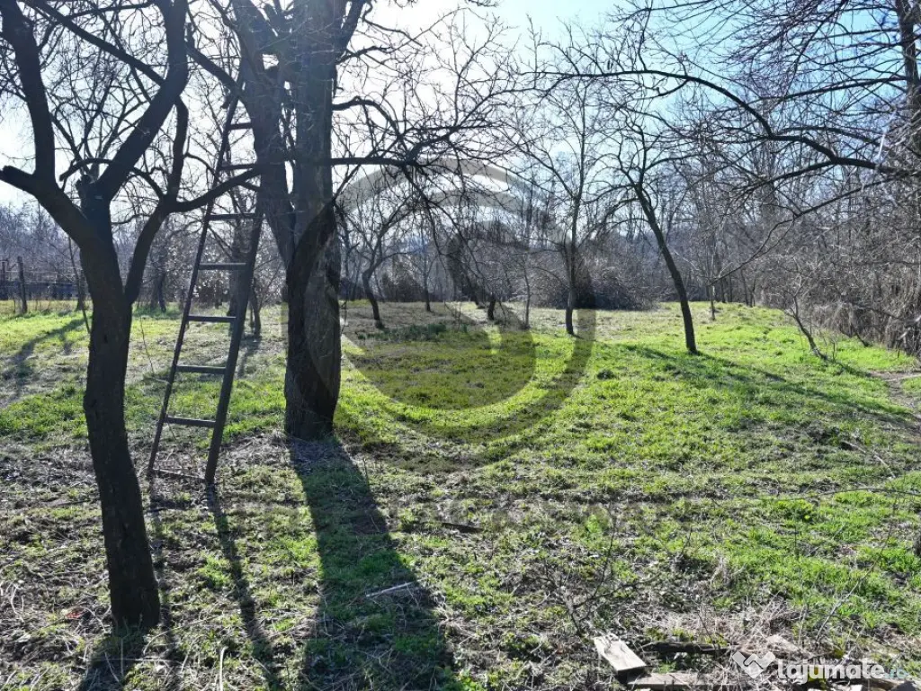 Case de vânzare | 2.128 mp teren | Filipeștii de Pădur... 