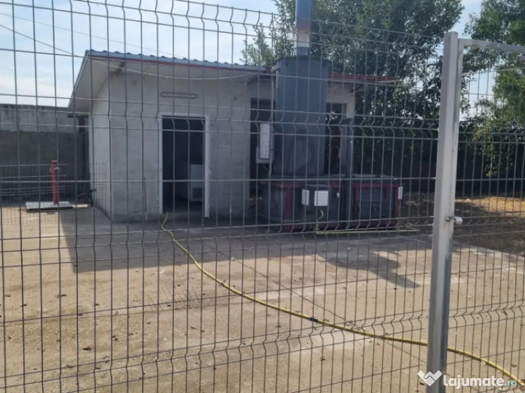 AFACERE LA CHEIE FERMA DE PORCI 