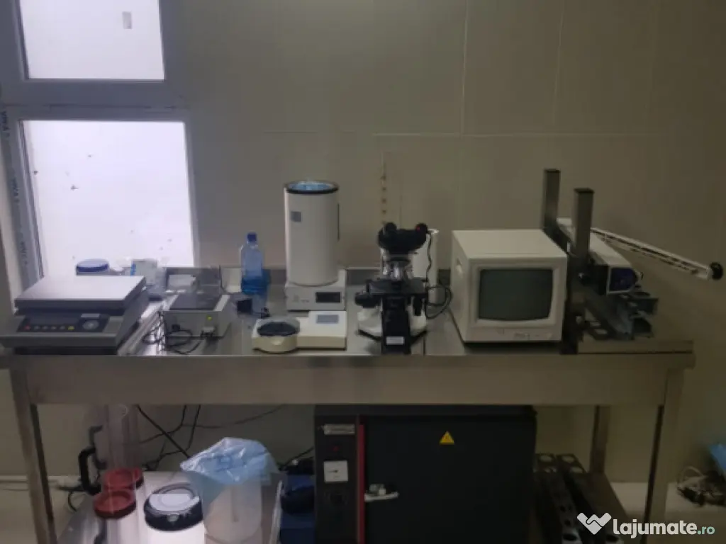 AFACERE LA CHEIE FERMA DE PORCI 