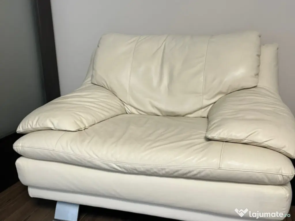 Fotoliu piele - Gama Mobexpert 