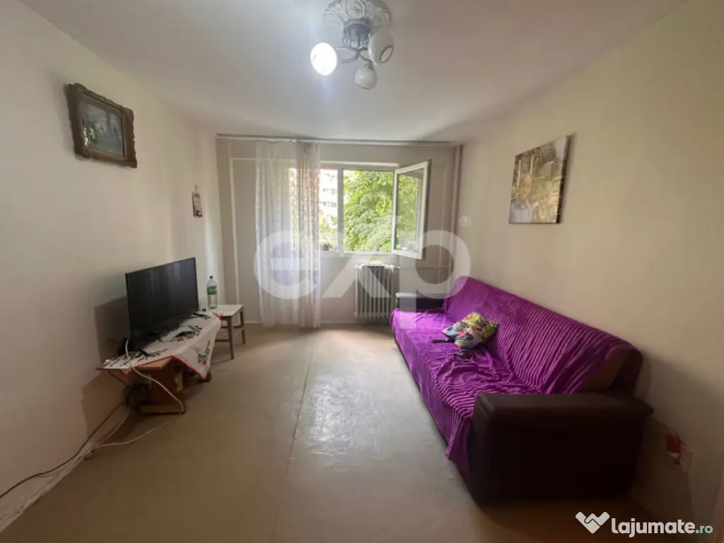 Apartament 3 Camere | Teiul Doamnei 