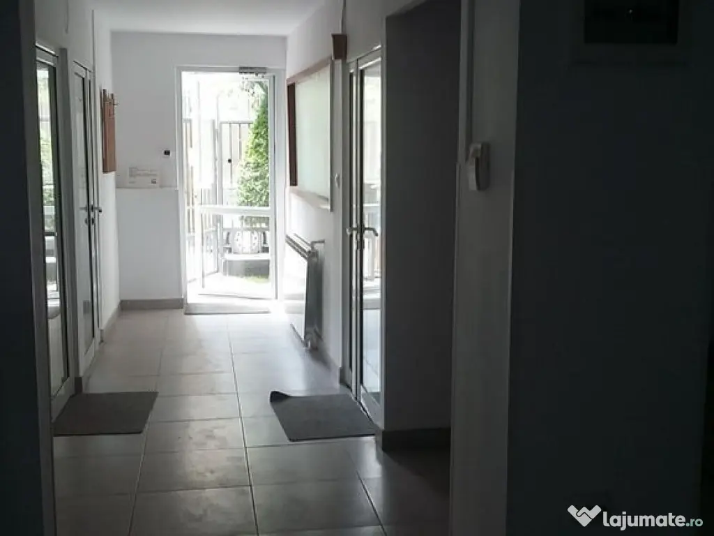 Theodor Pallady 300 mp