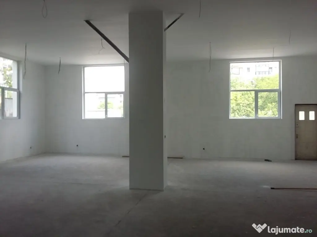 Theodor Pallady 300 mp 