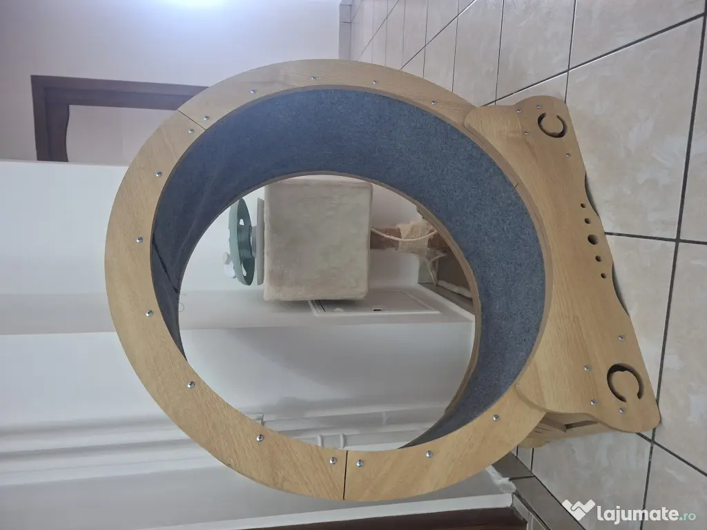 Roata alergat pisici noua 