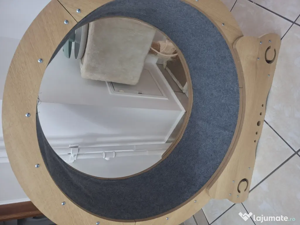 Roata alergat pisici noua 