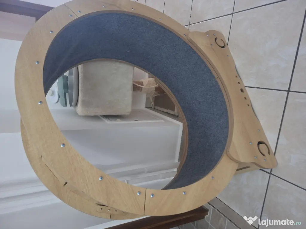 Roata alergat pisici noua 