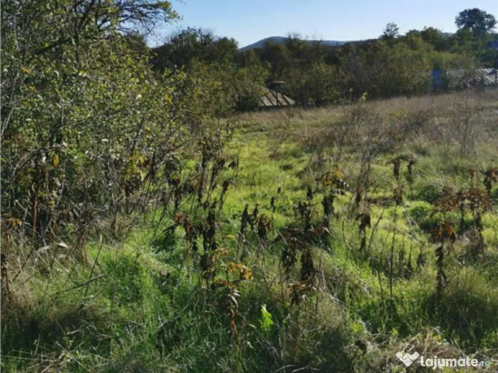 Teren de in Nifon Tulcea