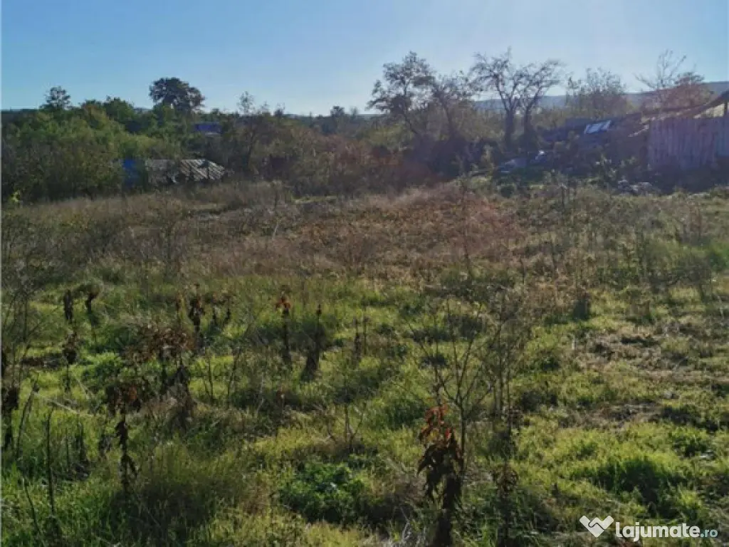 Teren de in Nifon Tulcea