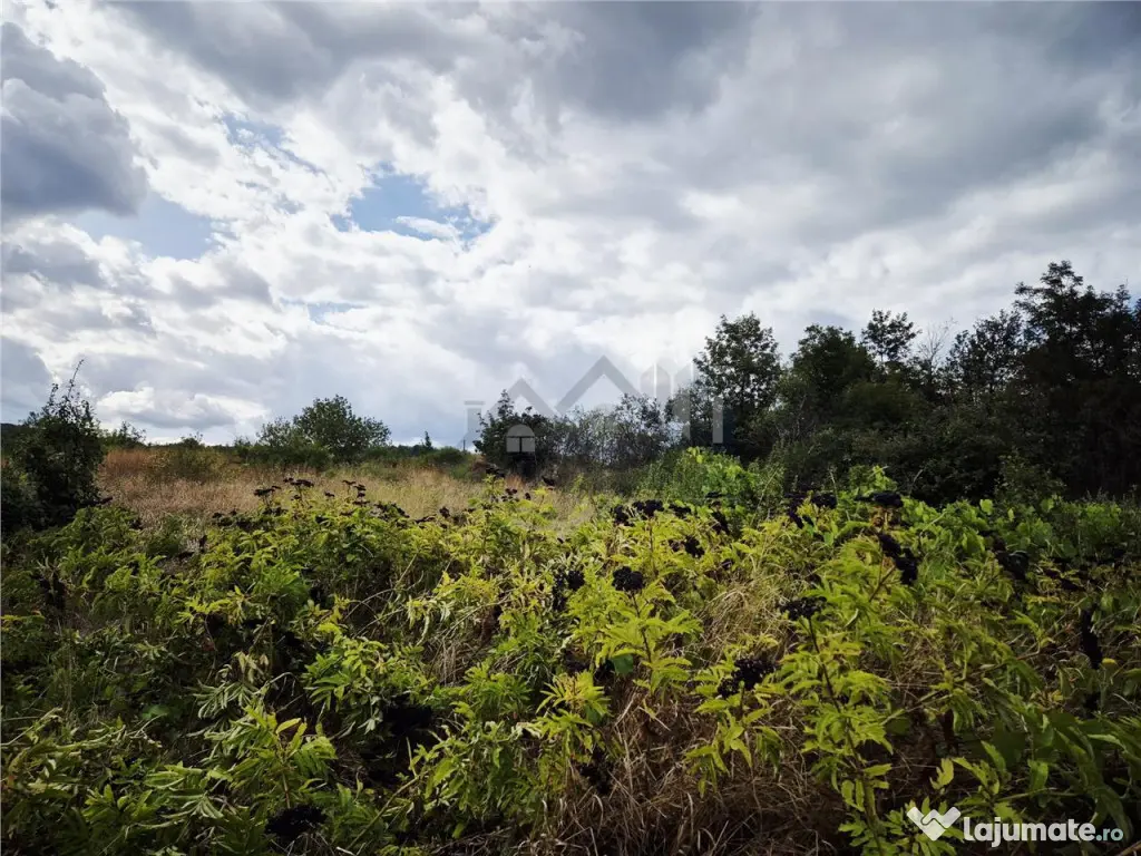 Teren pentru casa cu vedere frumoasa 