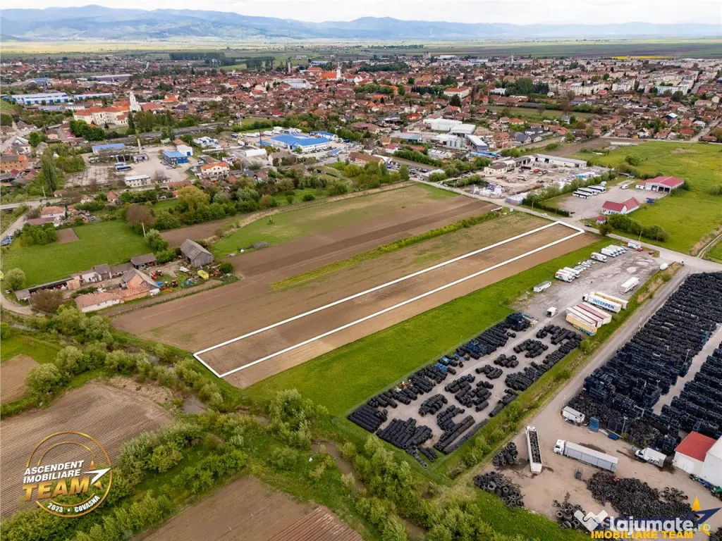 FILM! 5.000 mp teren, la marginea orasului Targu Secuiesc, a 