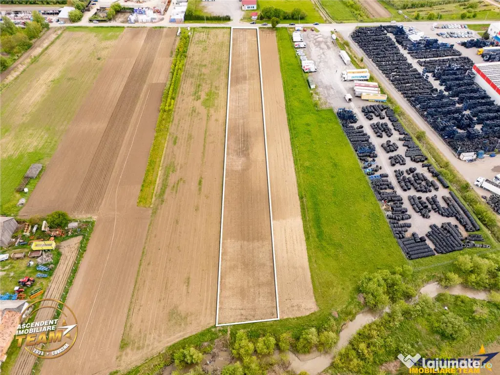 FILM! 5.000 mp teren, la marginea orasului Targu Secuiesc, a 