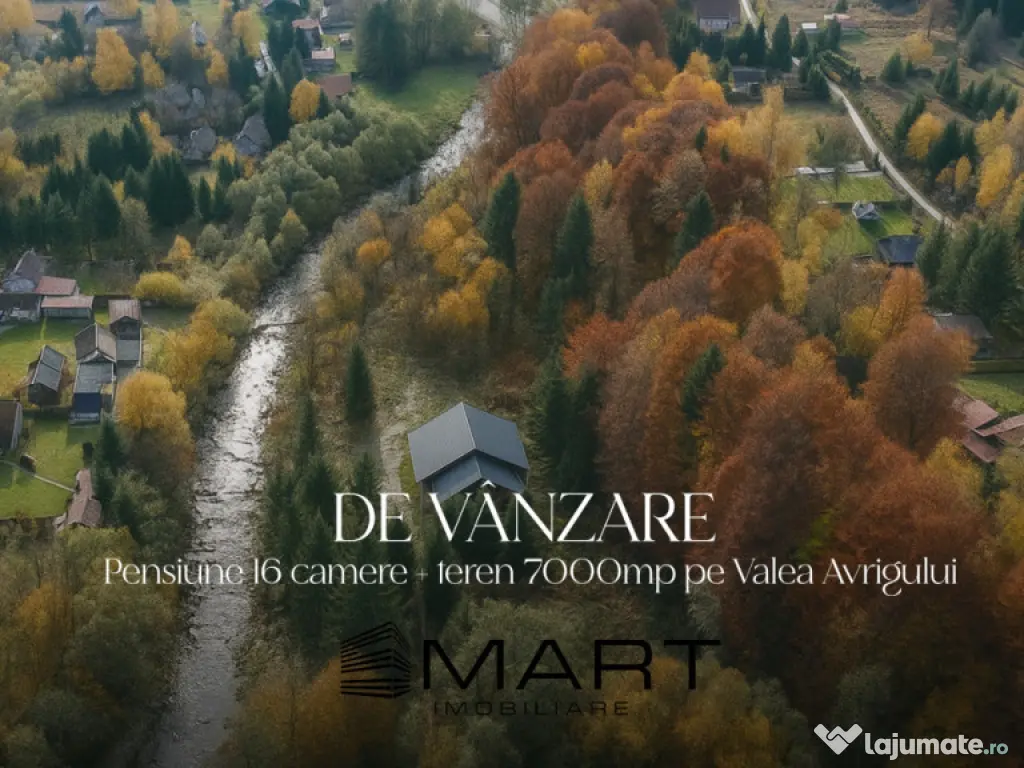 Pensiune 16 camere, teren 7000mp, Valea Avrigului 