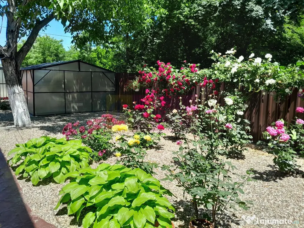 VANZARE CASA 5 CAM P+1 IN SAT MOVILITA (IL) 