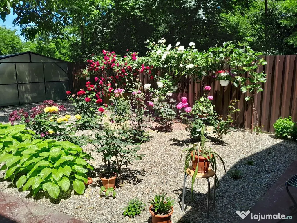 VANZARE CASA 5 CAM P+1 IN SAT MOVILITA (IL) 