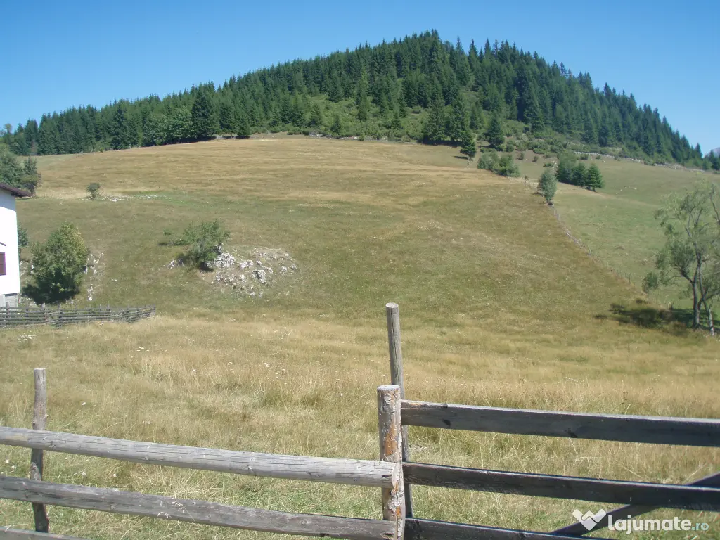 Vând teren intravilan Fundata 