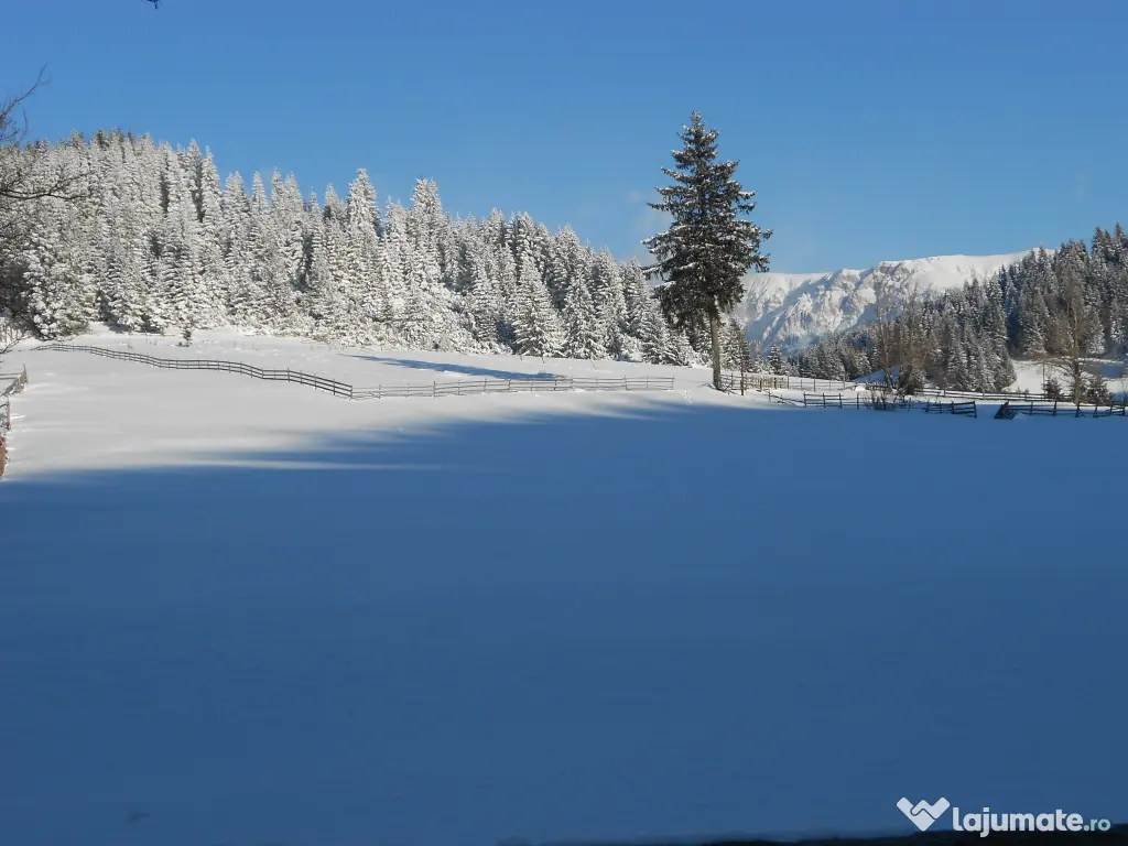 Vând teren intravilan Fundata 