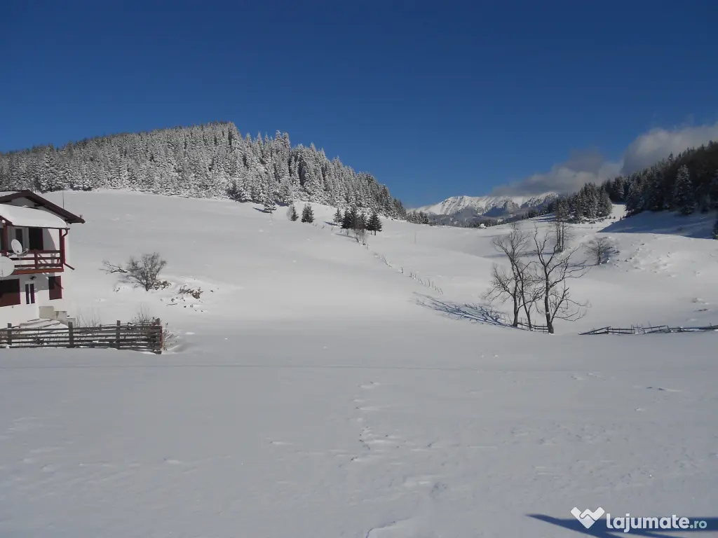 Vând teren intravilan Fundata 