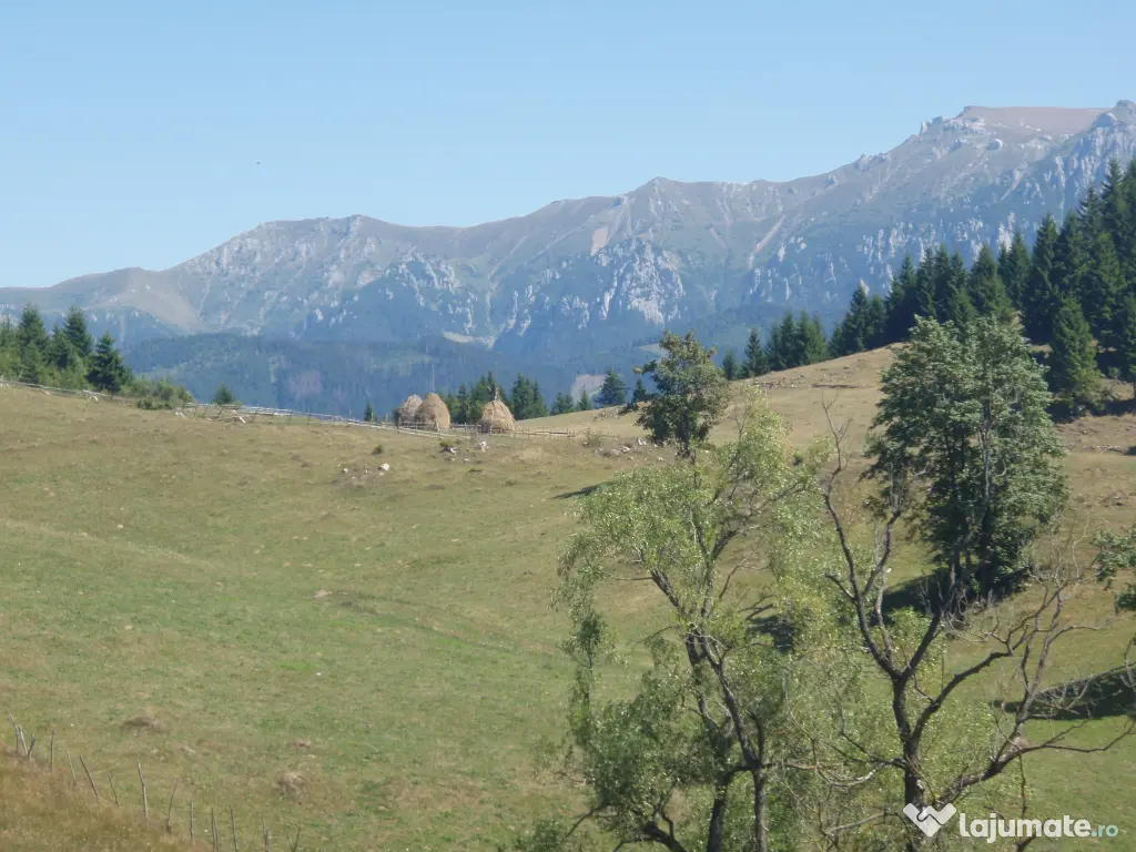 Vând teren intravilan Fundata 