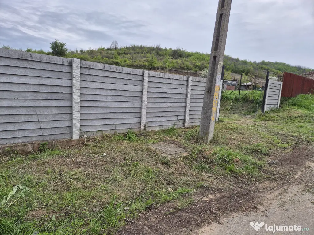 Teren intravilan 979 mp Podari – Livezi 