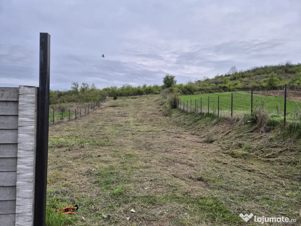 Teren intravilan 979 mp Podari – Livezi 