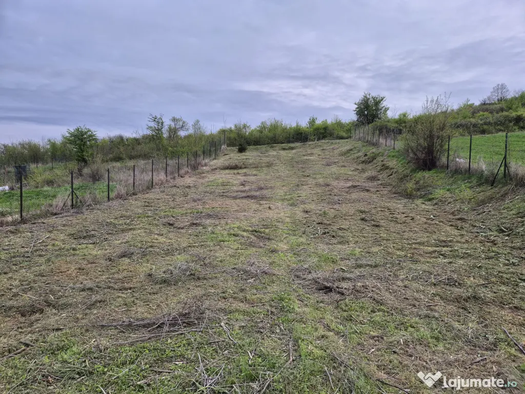 Teren intravilan 979 mp Podari – Livezi 