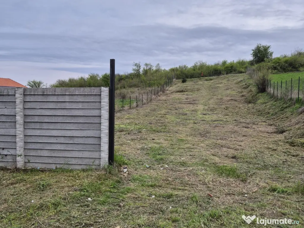 Teren intravilan 979 mp Podari – Livezi 