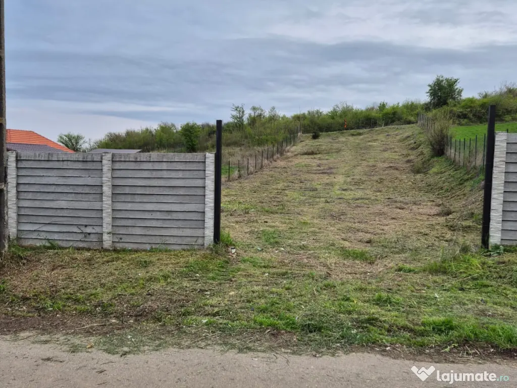 Teren intravilan 979 mp Podari – Livezi 