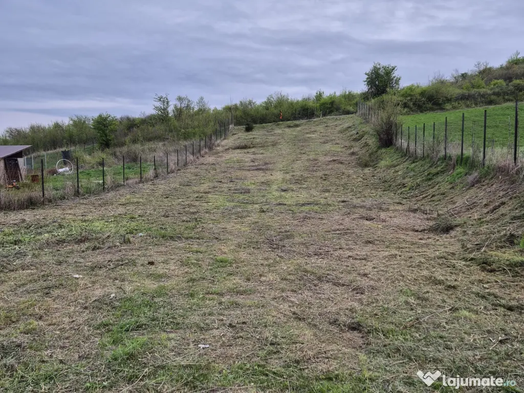 Teren intravilan 979 mp Podari – Livezi 